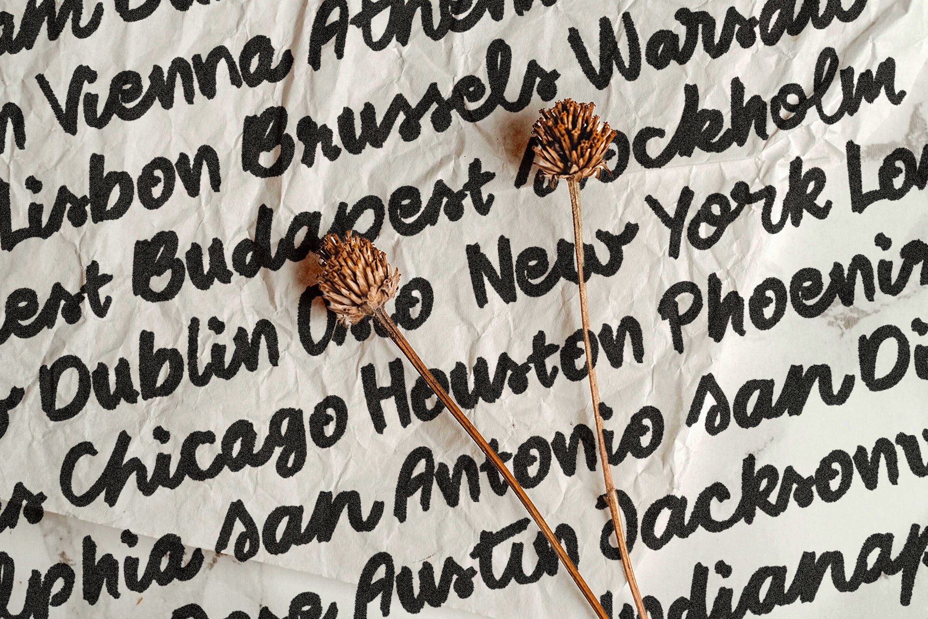 SLTF Midnight Chianti - Bold Handwritten Font