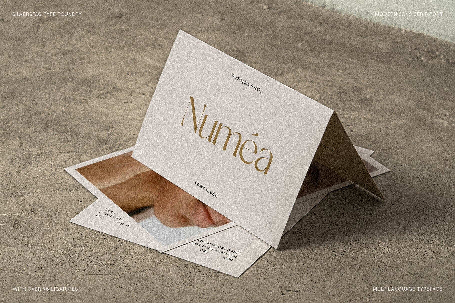 SLTF Night Windfall - Chic Ligature Sans Font