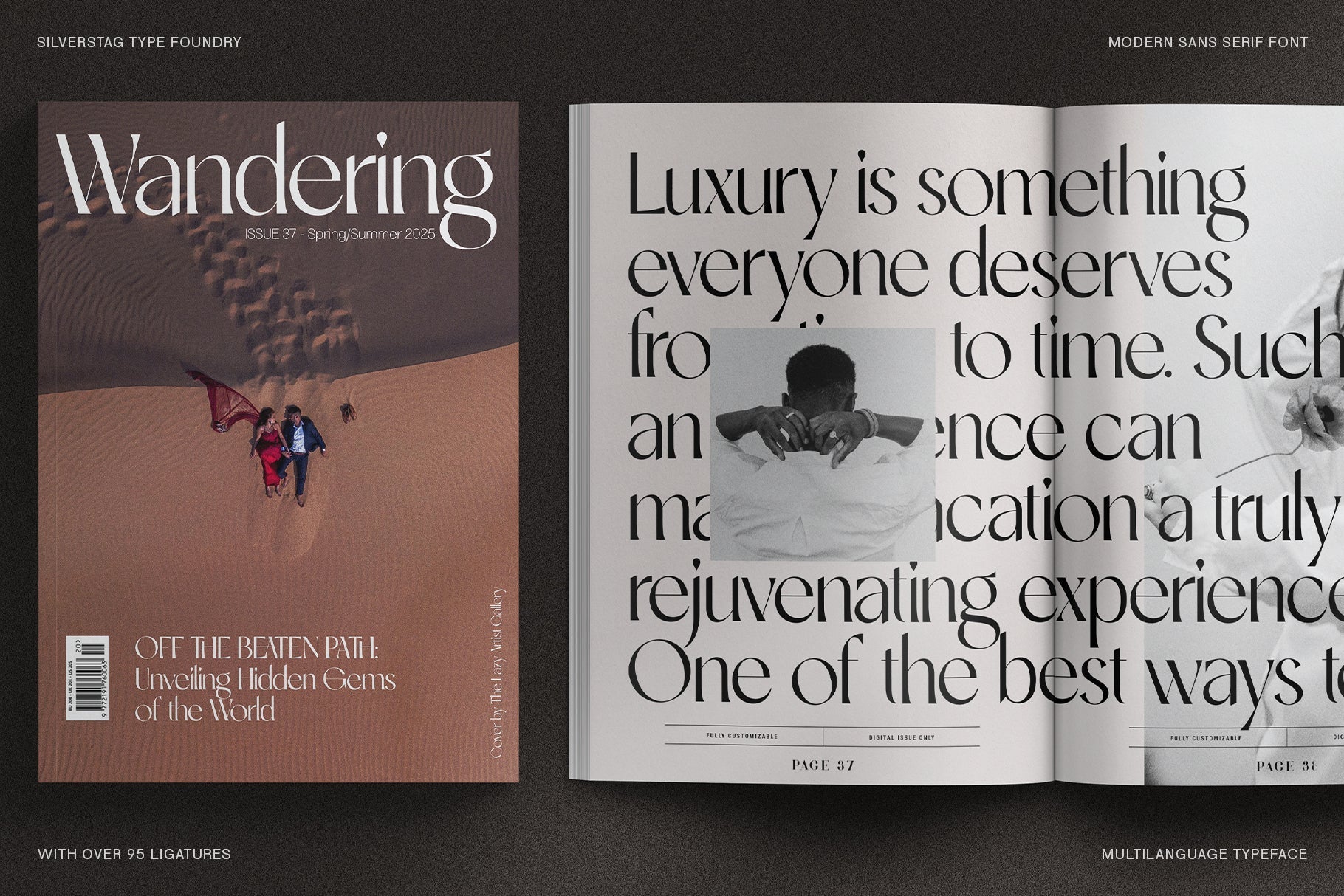 SLTF Night Windfall - Chic Ligature Sans Font