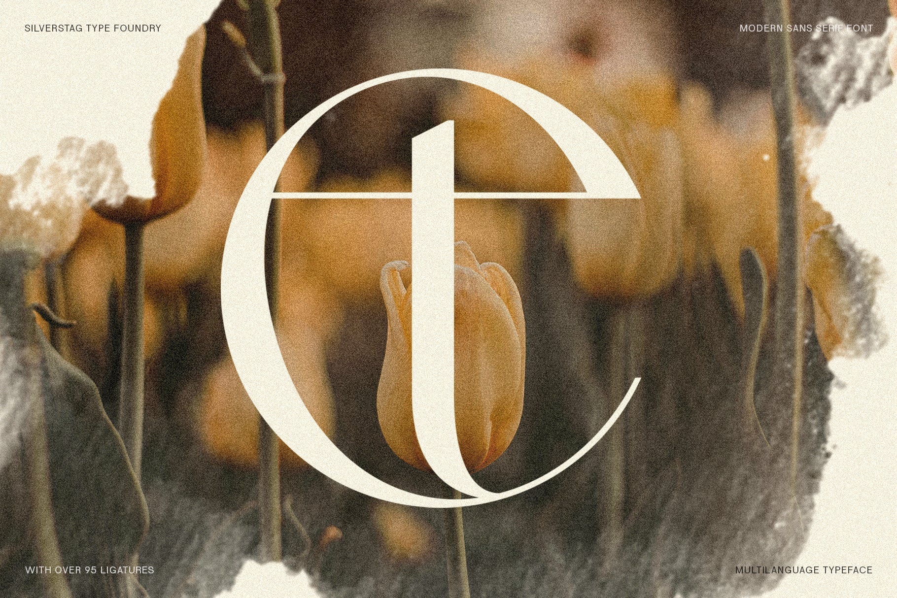 SLTF Night Windfall - Chic Ligature Sans Font