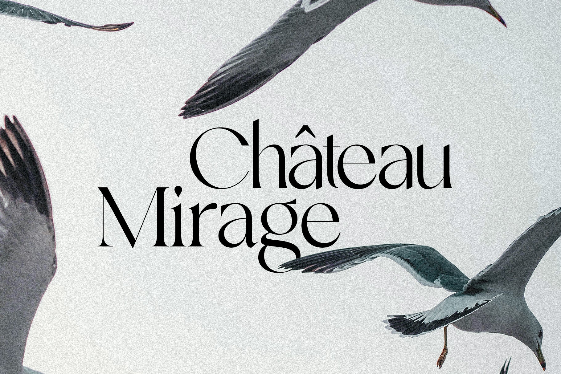 SLTF Night Windfall - Sans & Serif Font Duo