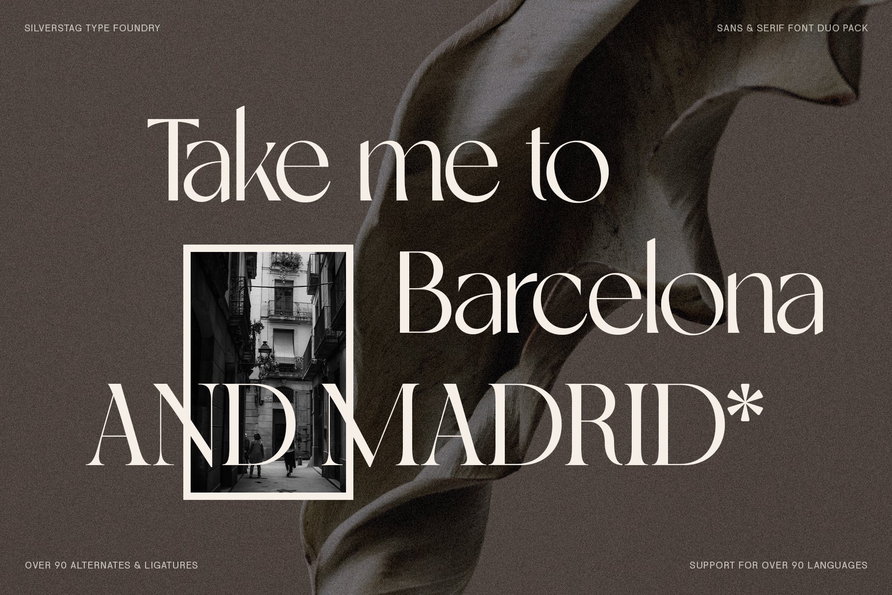 SLTF Night Windfall - Sans & Serif Font Duo