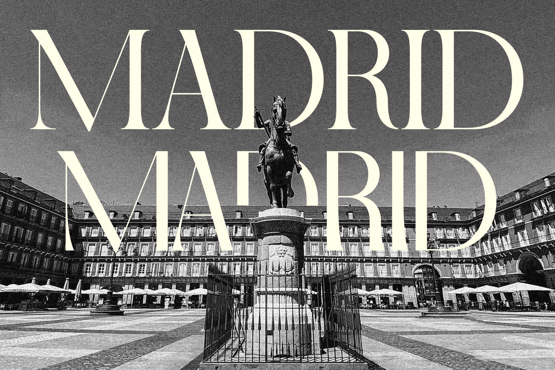 SLTF Night Windfall - Sans & Serif Font Duo