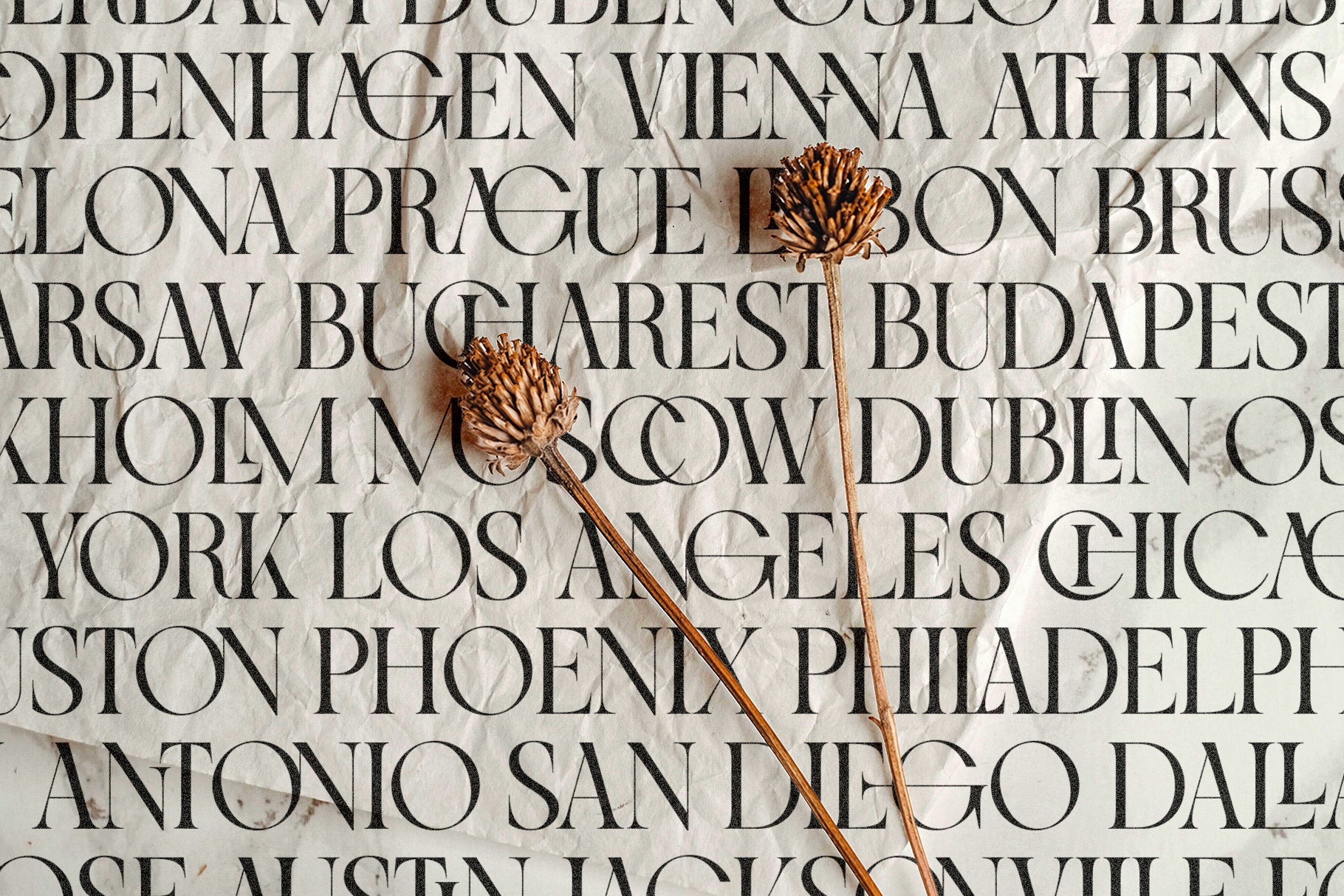 SLTF Night Windfall - Sans & Serif Font Duo