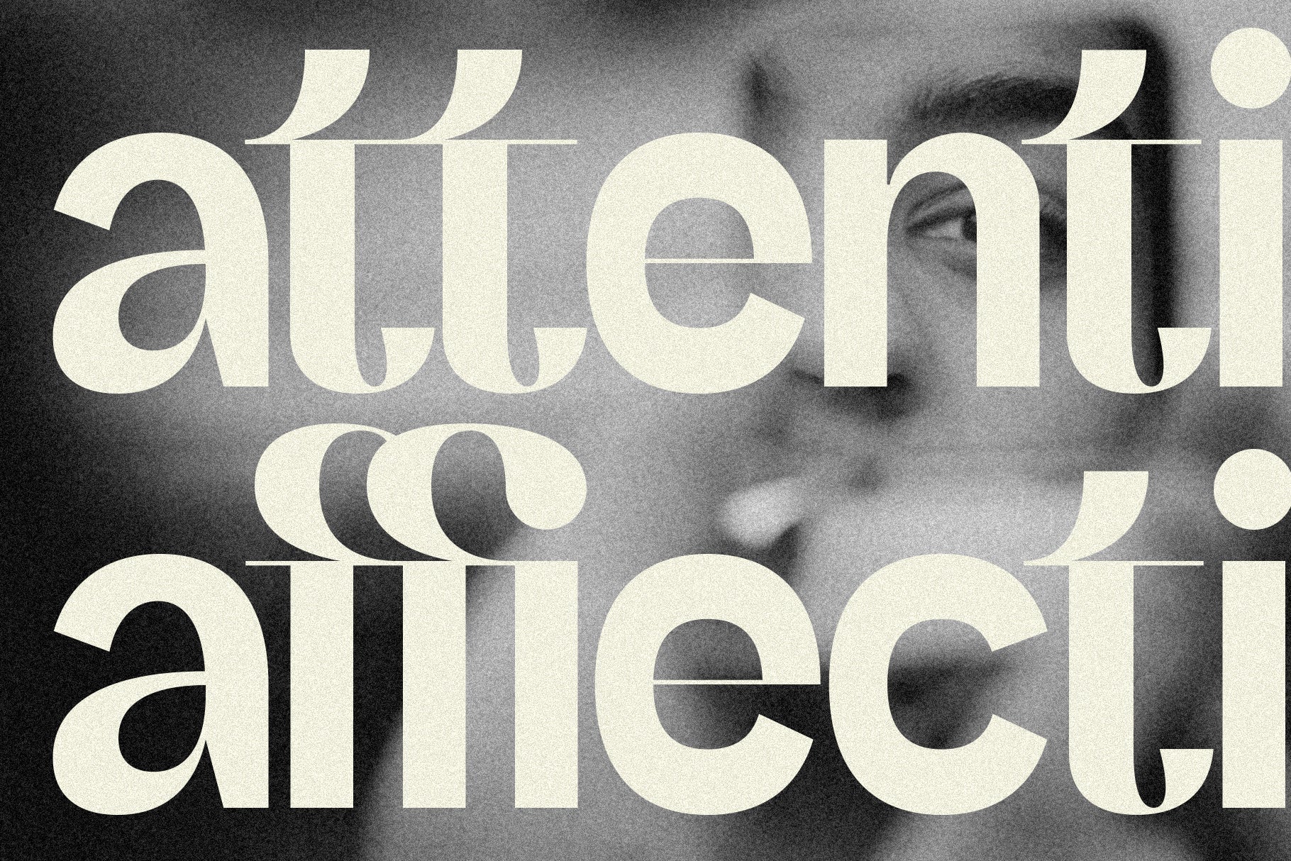 SLTF Refugio - Modern Grotesk Font