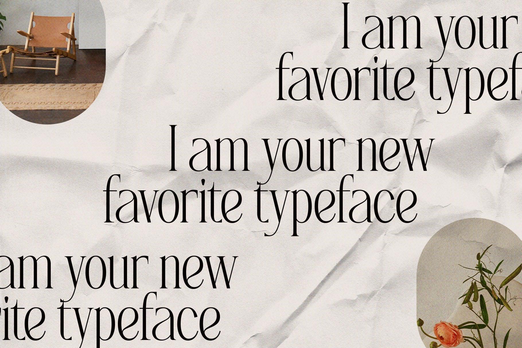 SLTF Rogue Rebellion - Ligature Serif Font