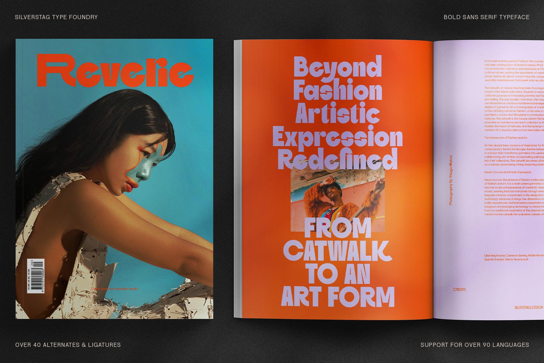 SLTF Skybury - Bold Sans Serif Typeface