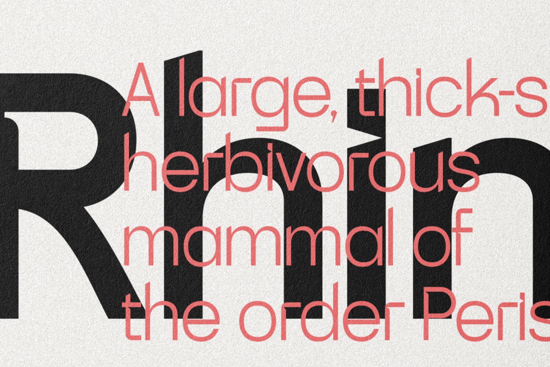 SLTF Skyling - Geometric Grotesk Sans Serif Typeface