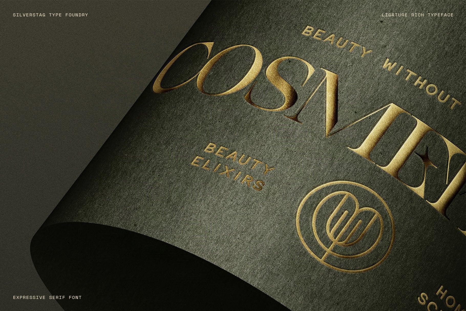 sltf-spanish-archer-ligature-rich-display-serif-font-silverstag-type-foundry-6.jpg