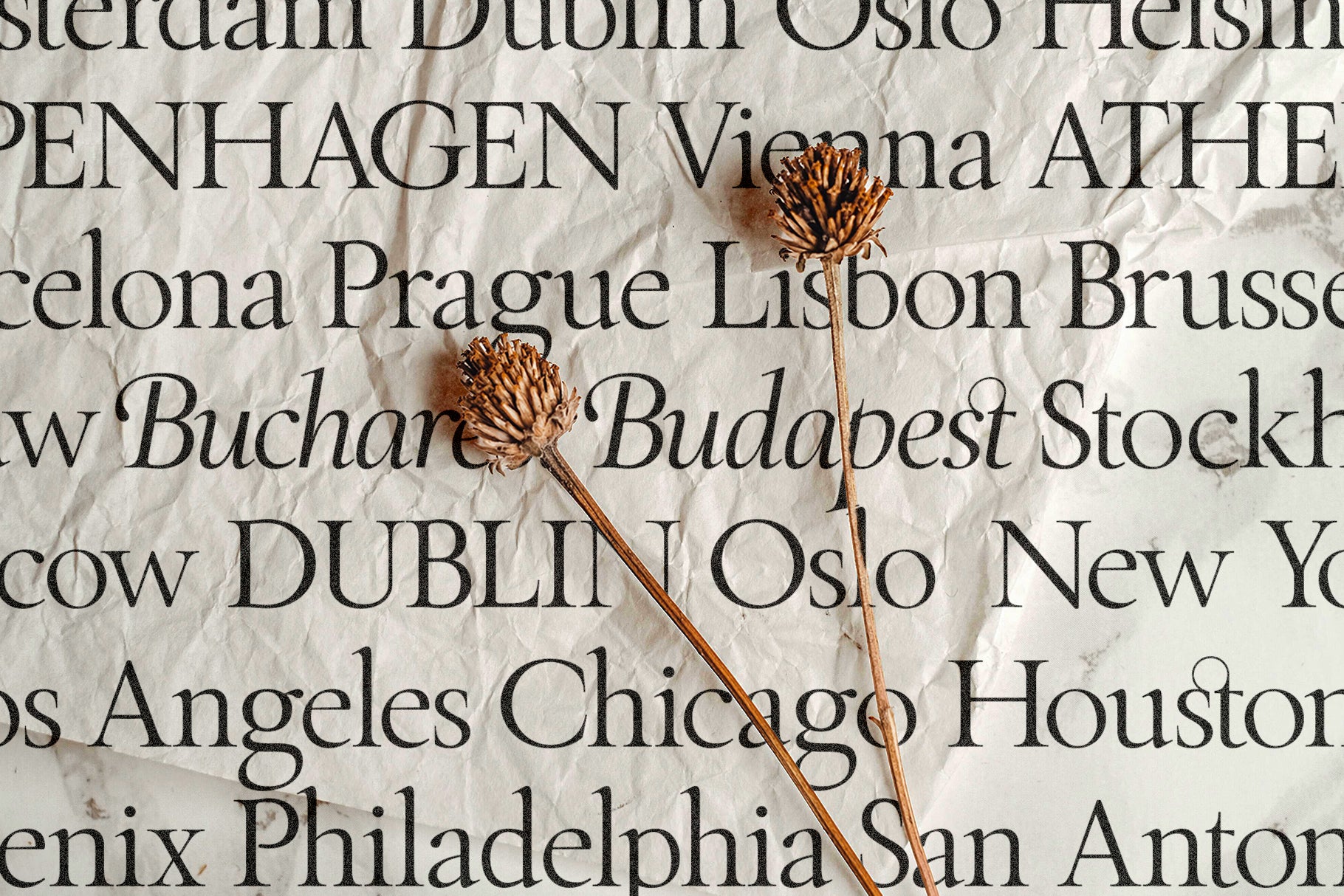 SLTF The Roman Edition - A Classical Serif Typeface