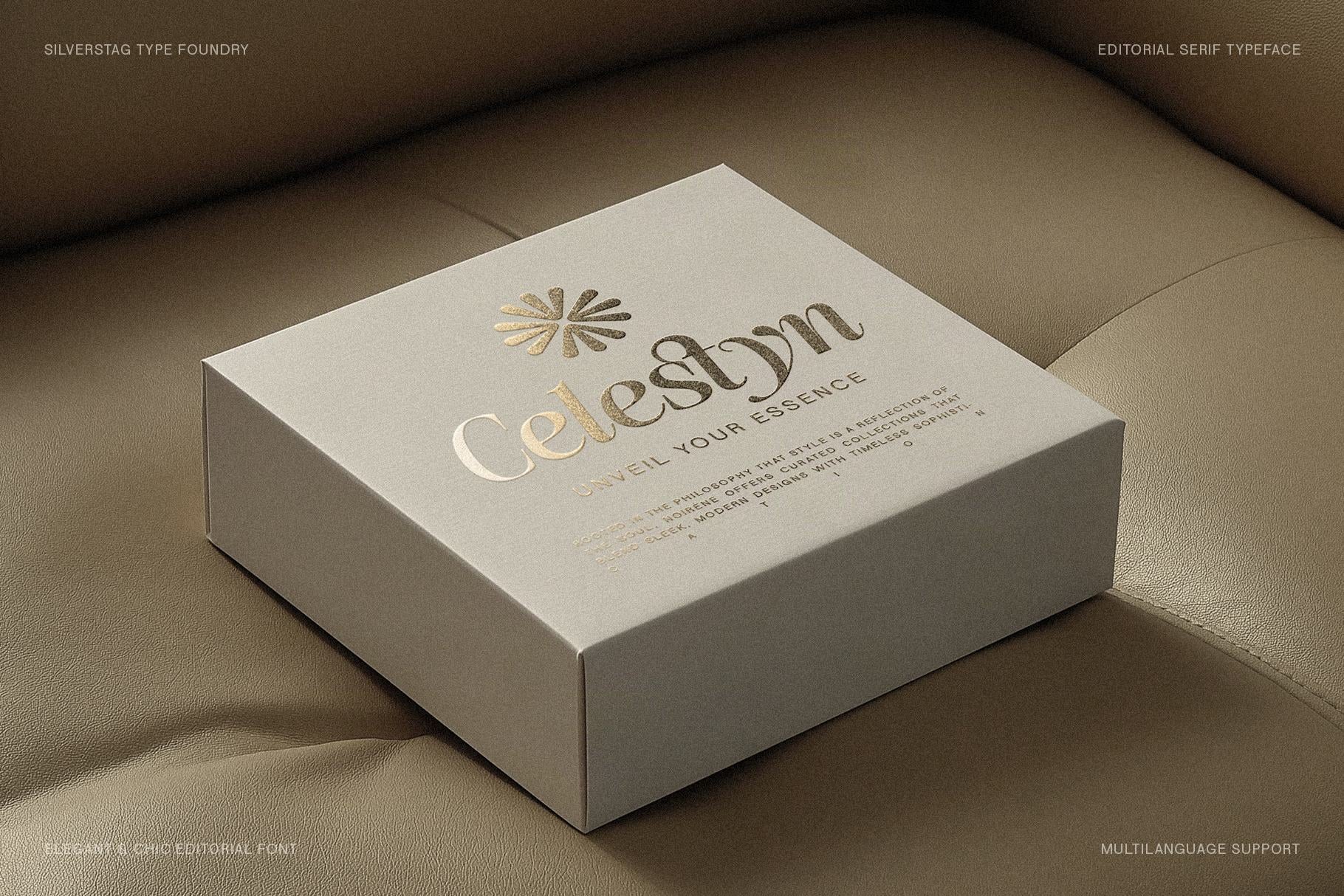 SLTF The Silver Editorial – A Nostalgic 18-Font Serif Typeface