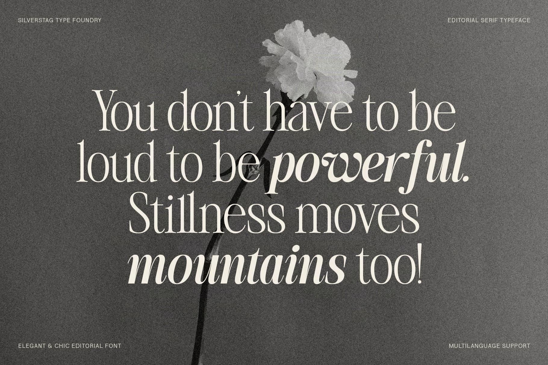 SLTF The Silver Editorial – A Nostalgic 18-Font Serif Typeface