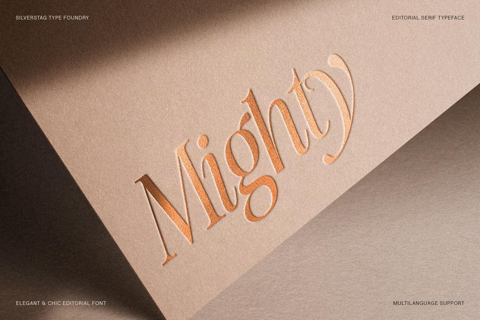 SLTF The Silver Editorial – A Nostalgic 18-Font Serif Typeface