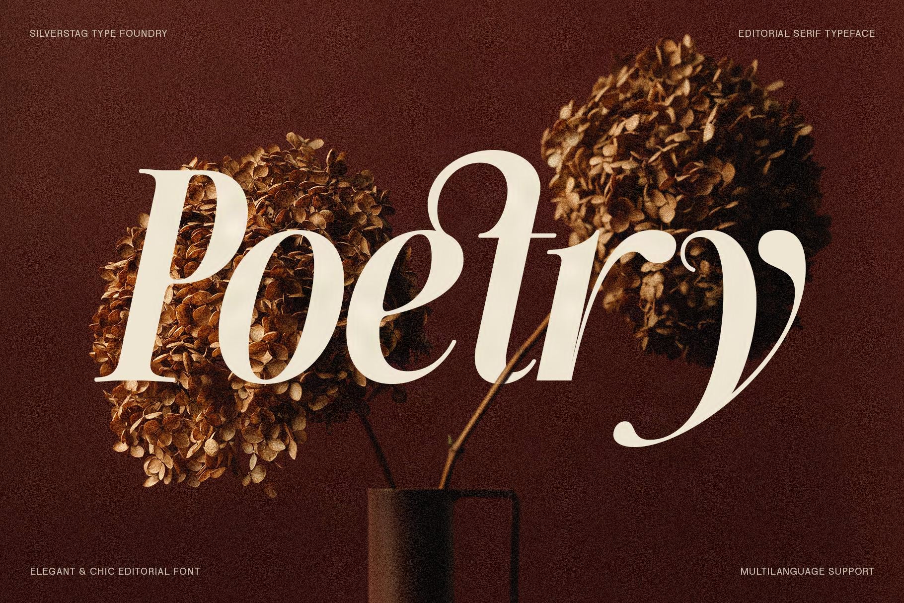 SLTF The Silver Editorial – A Nostalgic 18-Font Serif Typeface