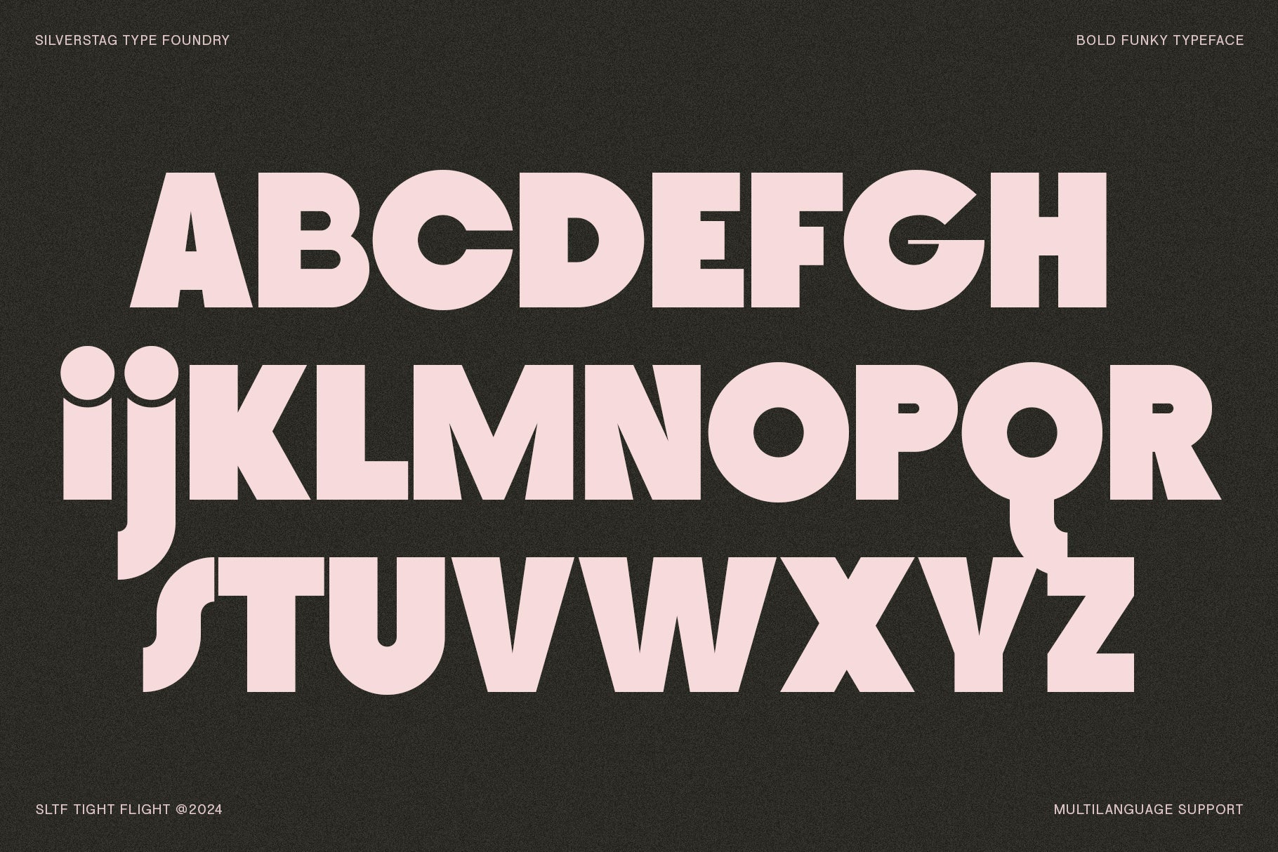 SLTF Tight Flight - Bold Funky Font