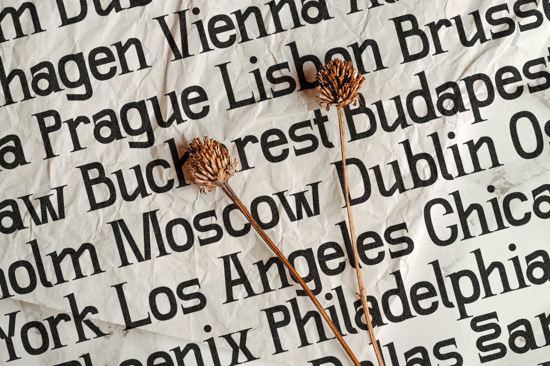 SLTF Winner Baroque - Ligature Rich Serif Typeface