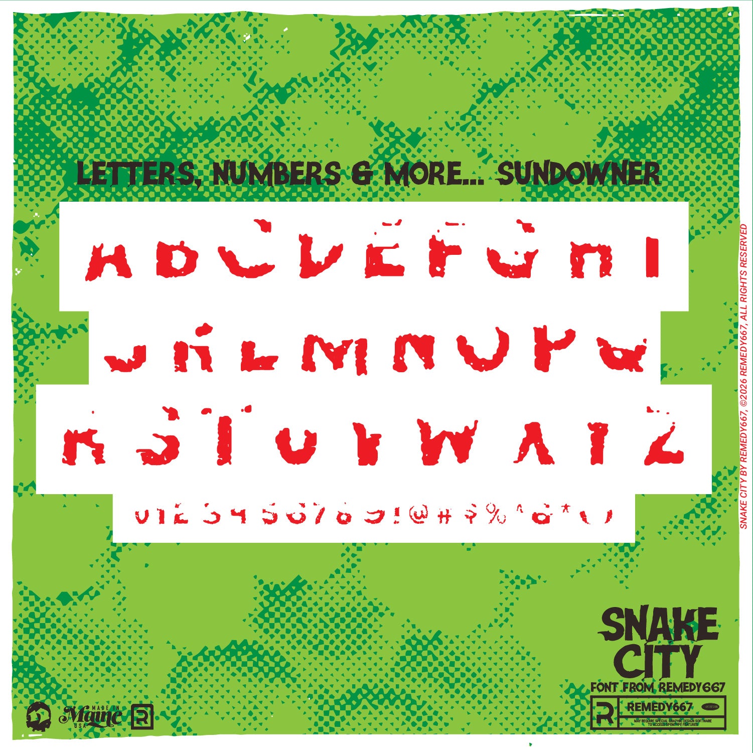snake-city-remedy667-8.jpg