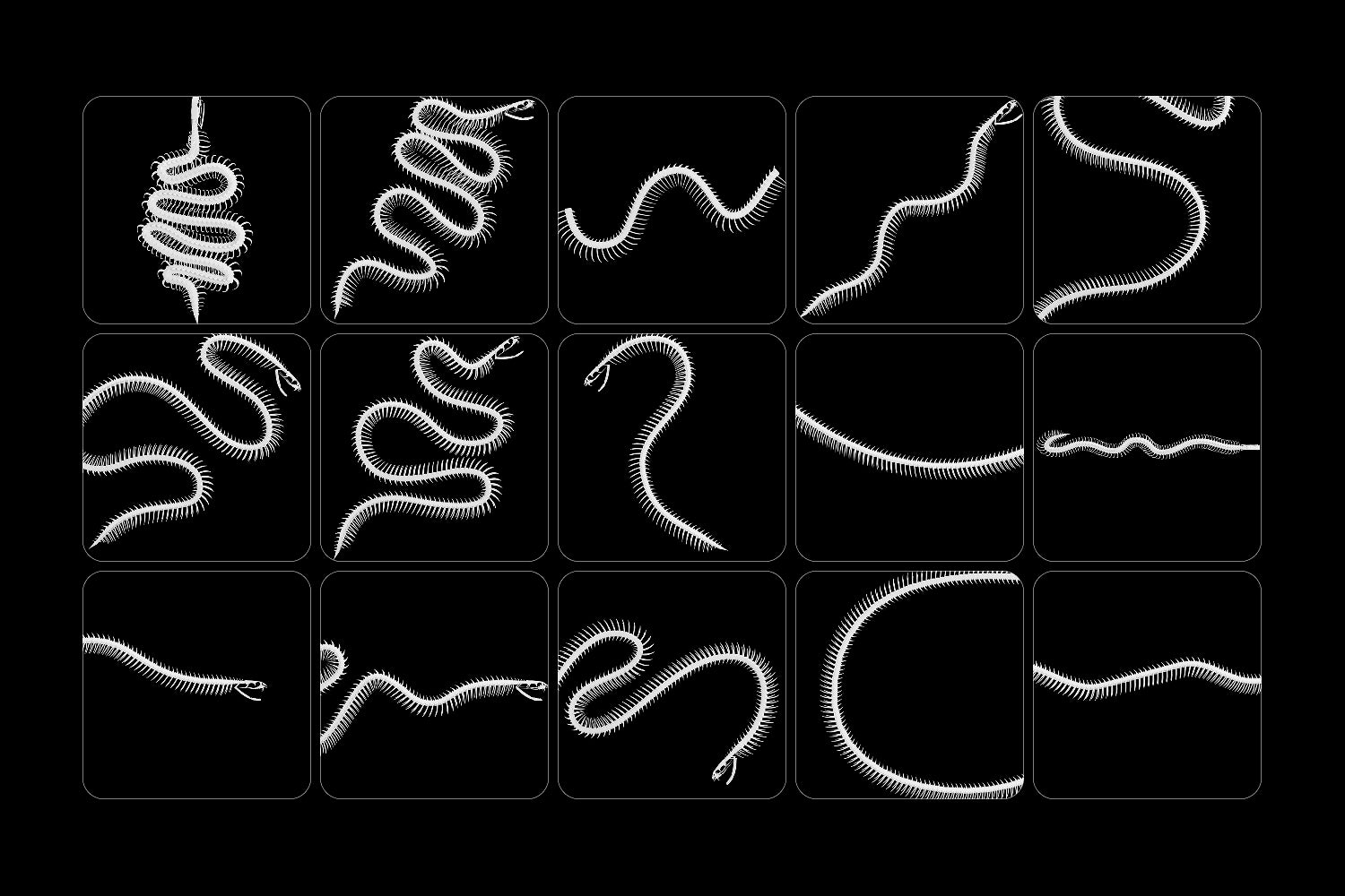 Snake Rib