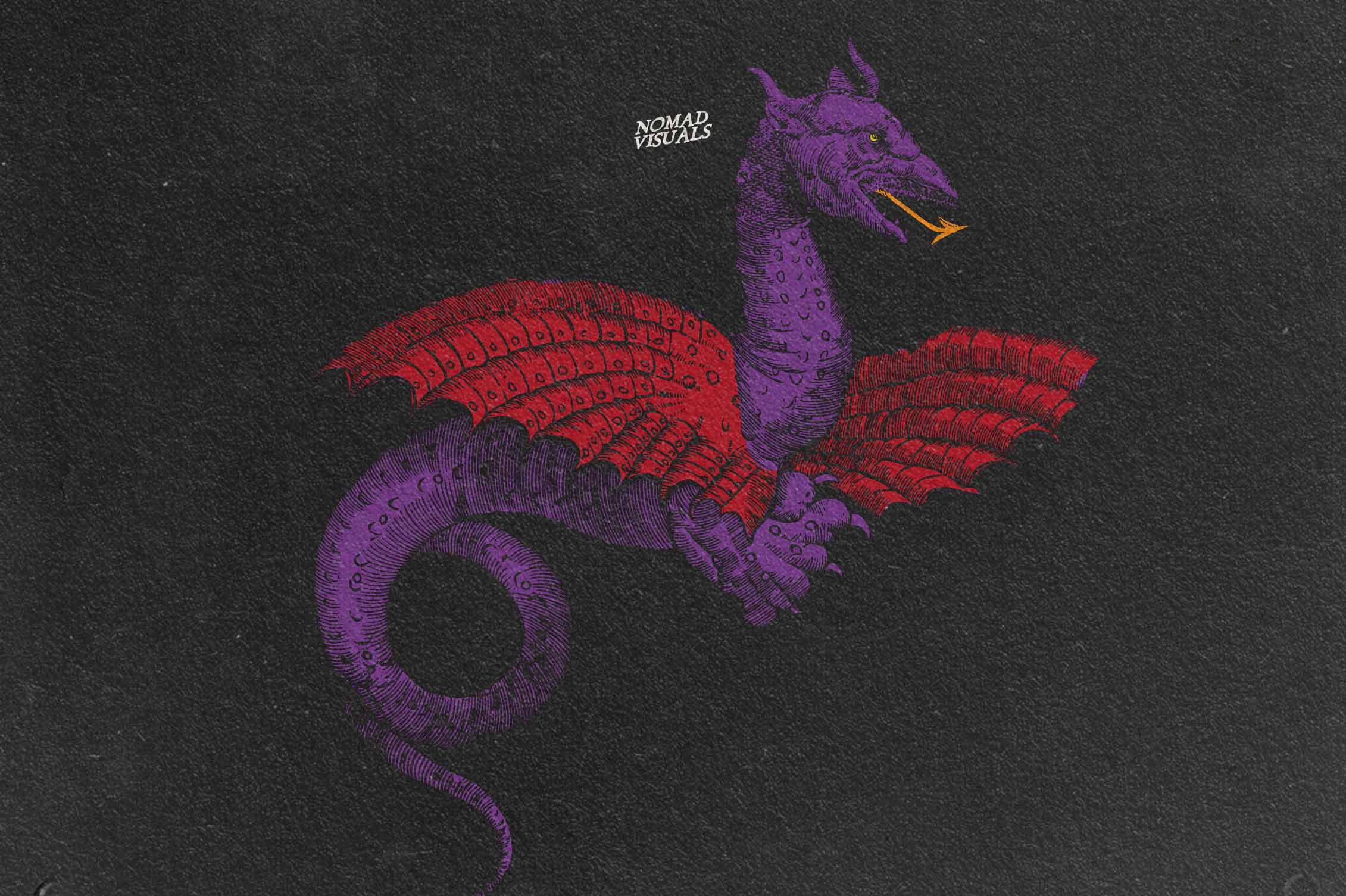 Snakes & Dragons