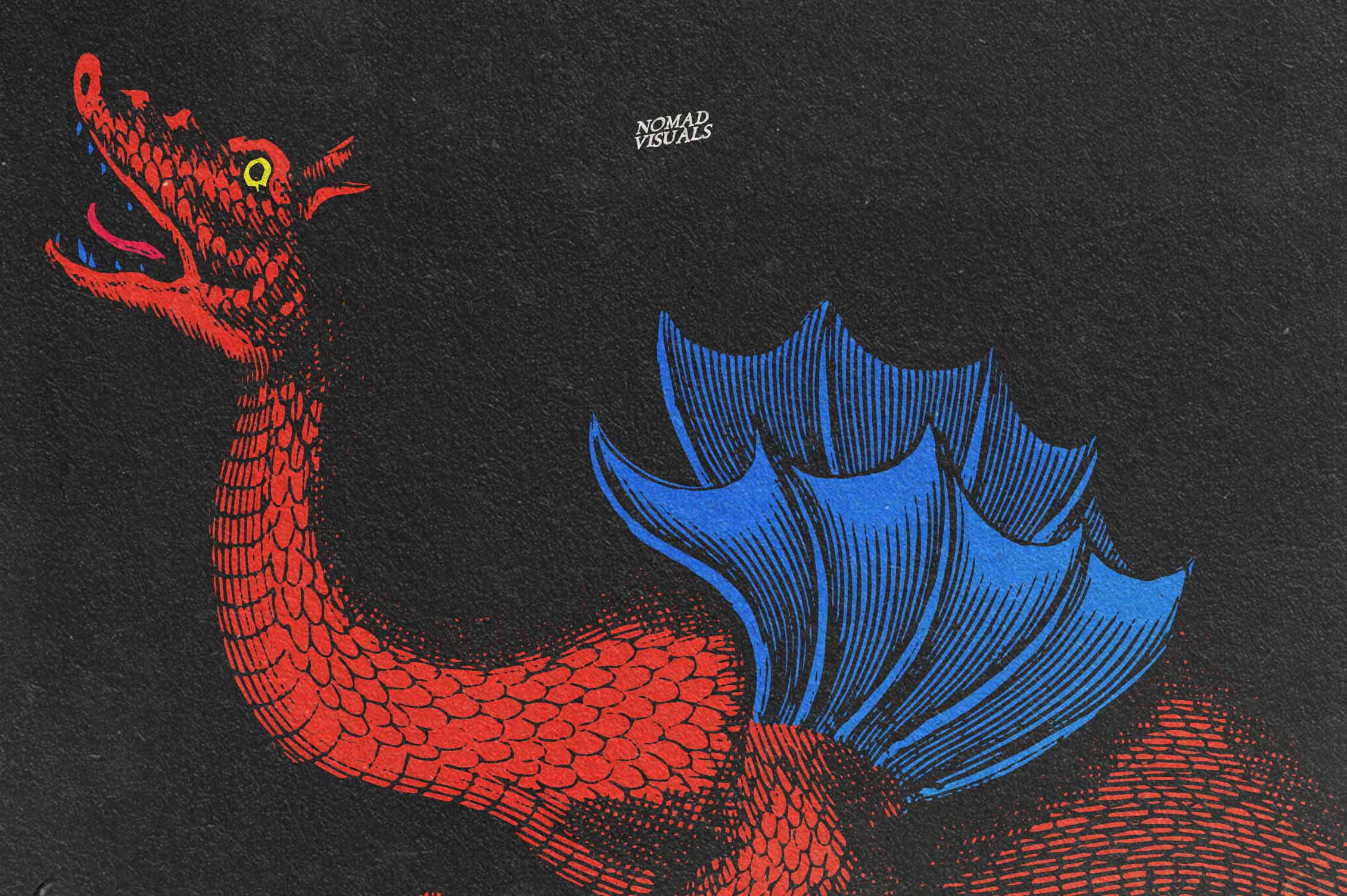Snakes & Dragons