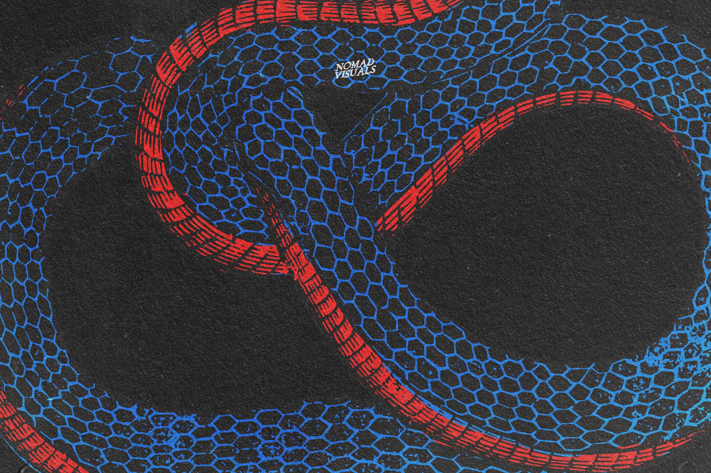 Snakes & Dragons