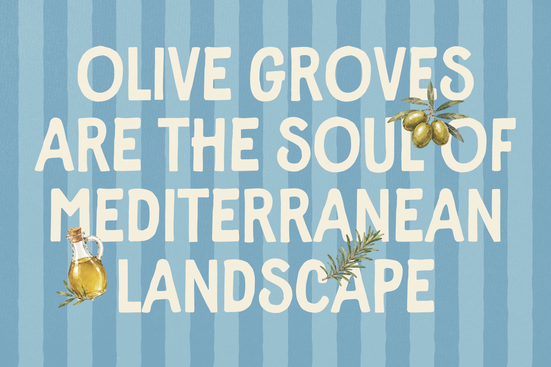 studios-meditera-font-duo-the-native-saint-club-9.jpg