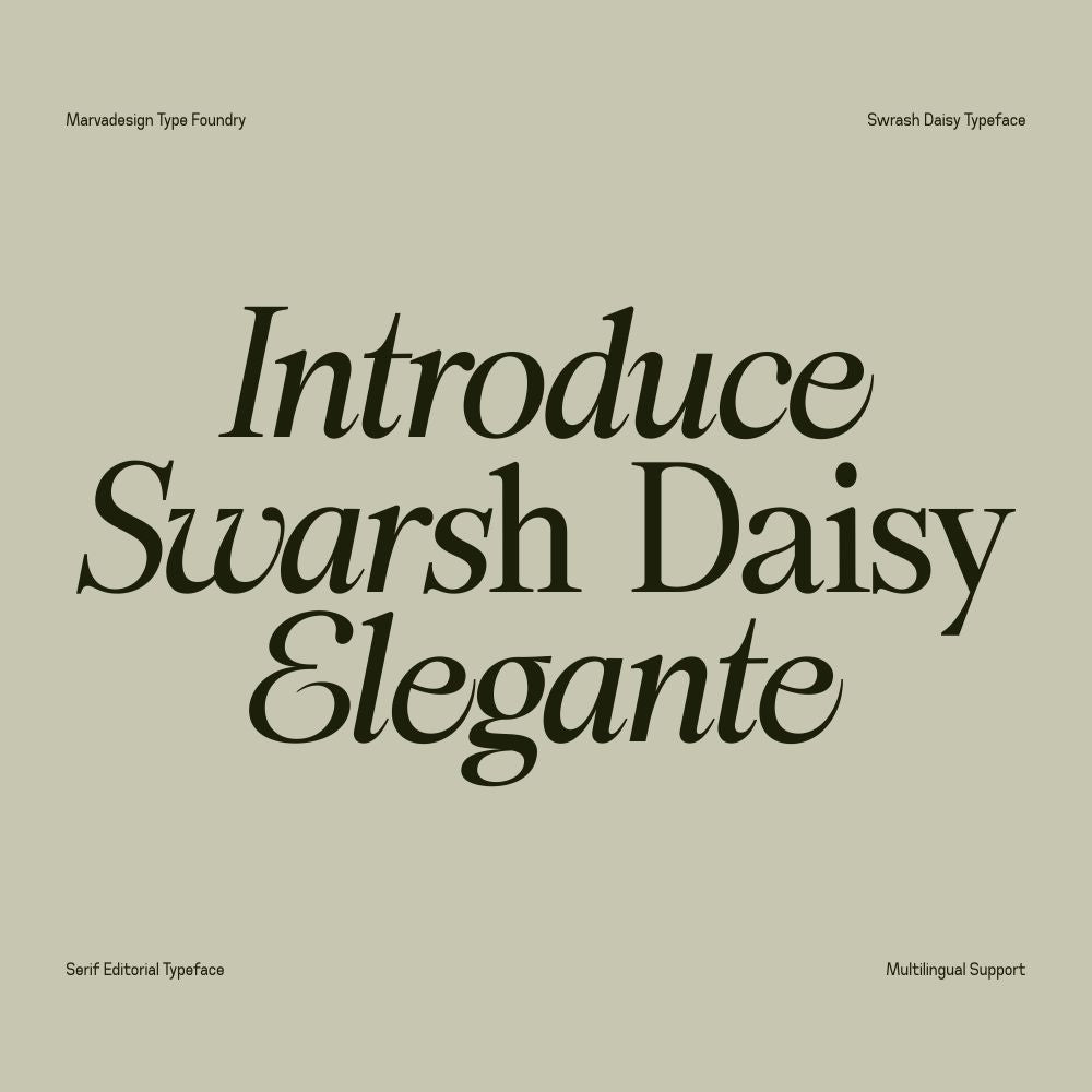 Swarsh Daisy