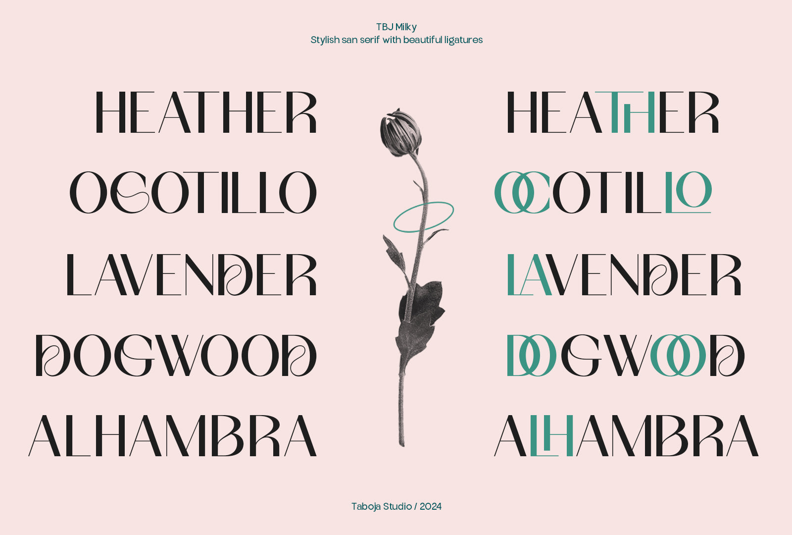 tbj-milky-8-styles-boldly-sans-taboja-studio-10.jpg
