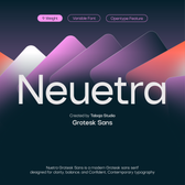 TBJ Neuetra — Grotesk Sans Serif Font Family