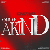 TBJ One Of A Kind Serif Font Family