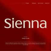 TBJ Sienna Elegant Serif Font Family