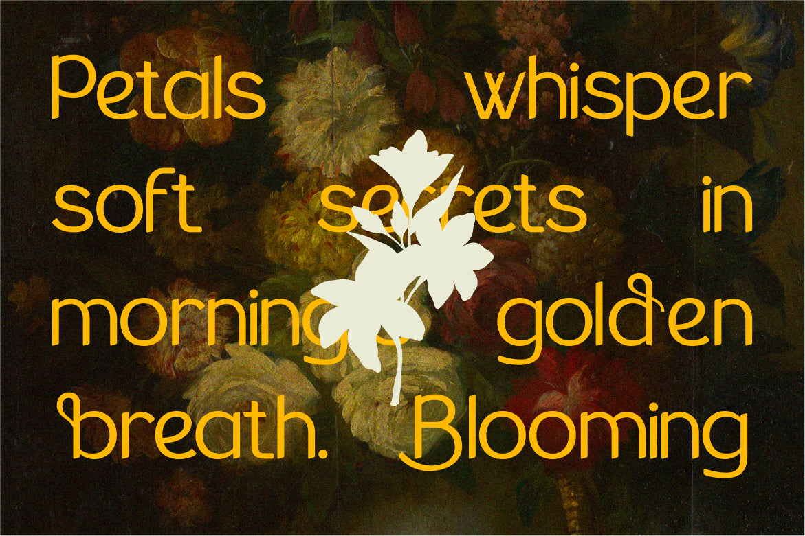the-braven-elegant-sans-serif-font-vadova-studio-3.jpg