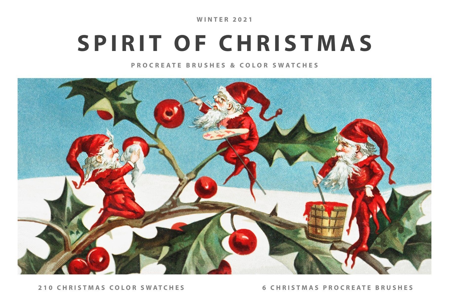 The Christmas (2021) Procreate Kit