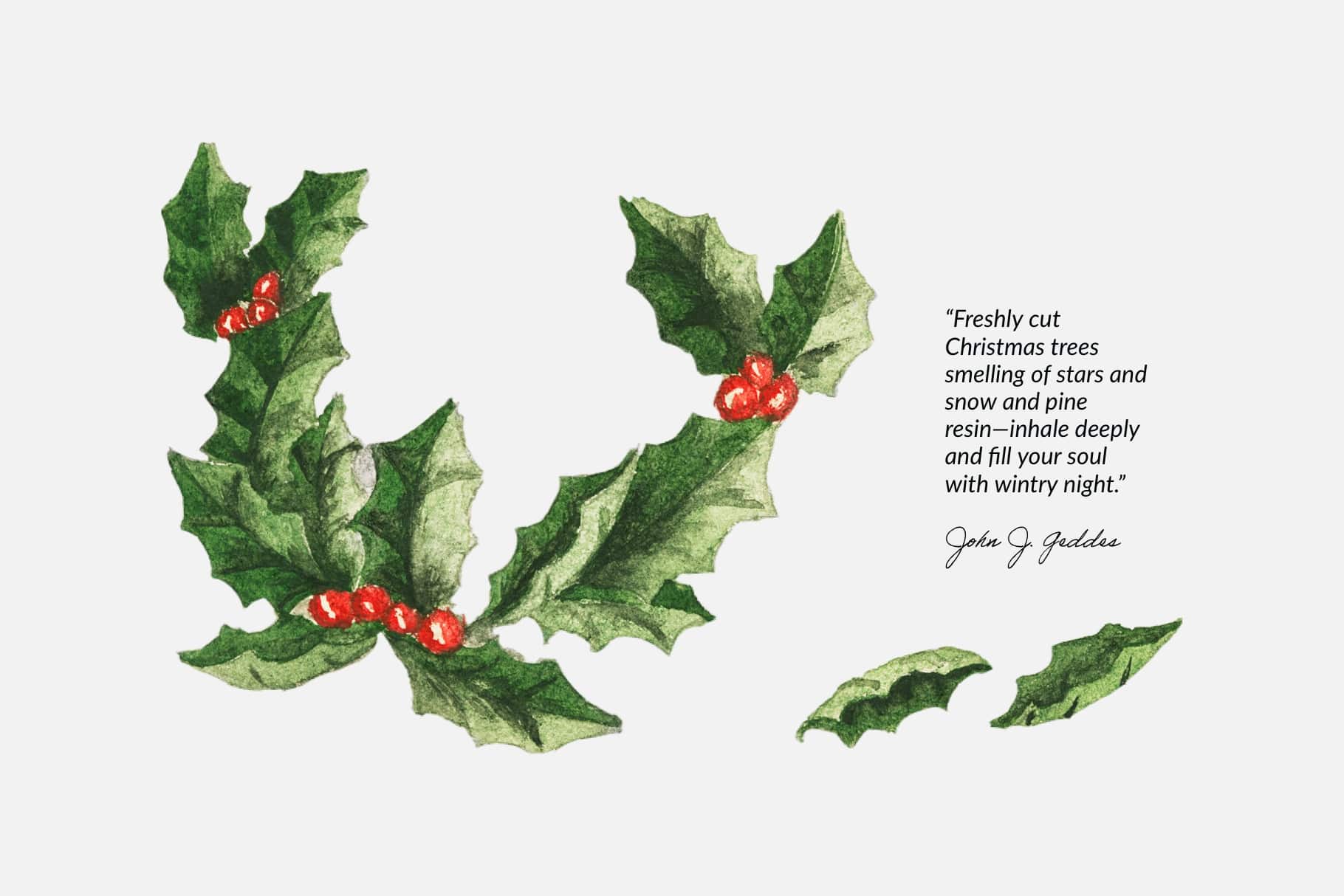 The Christmas (2021) Procreate Kit