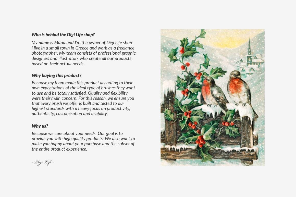 The Christmas (2021) Procreate Kit