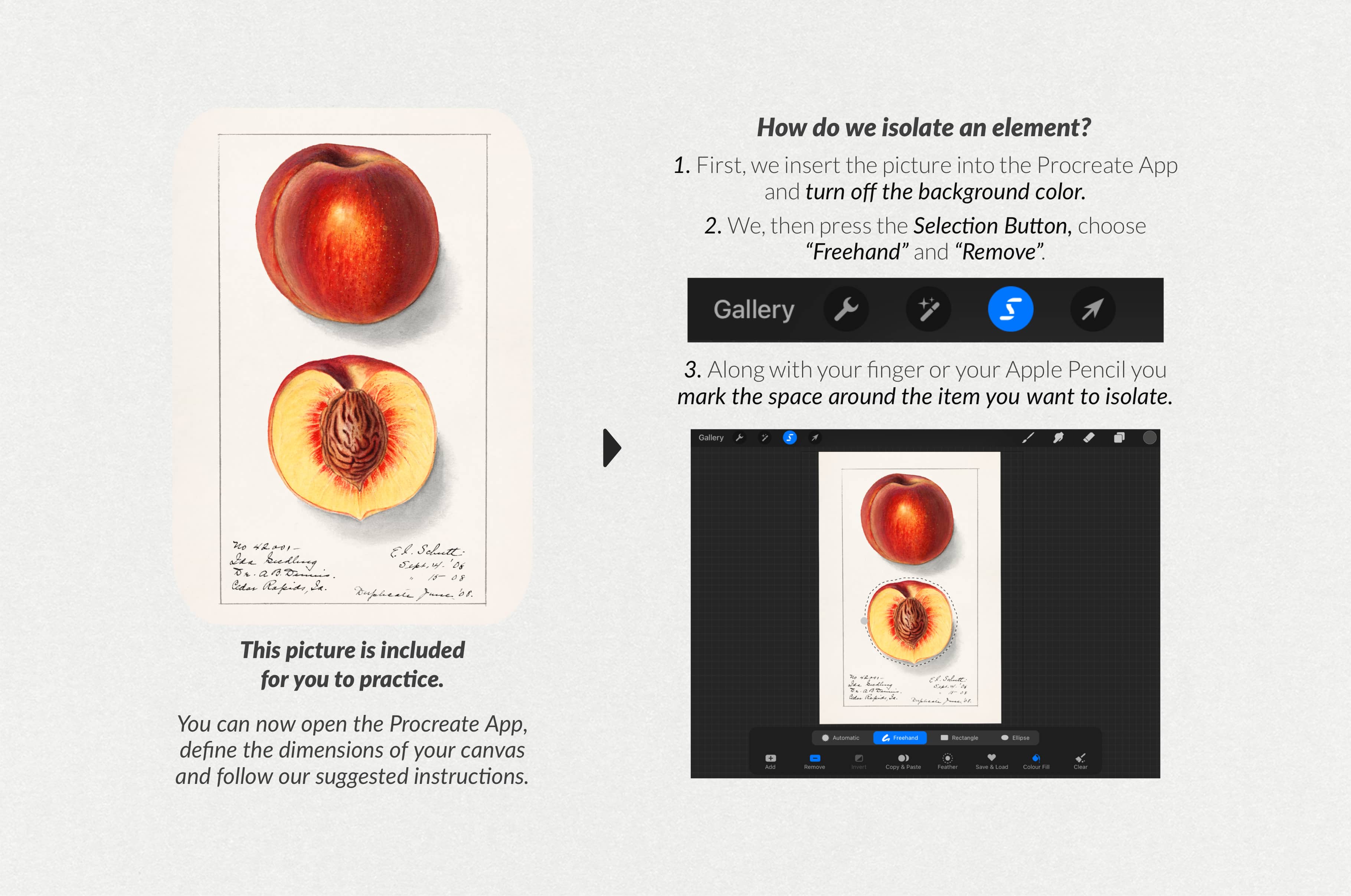 The Collage Eraser Procreate Brushes