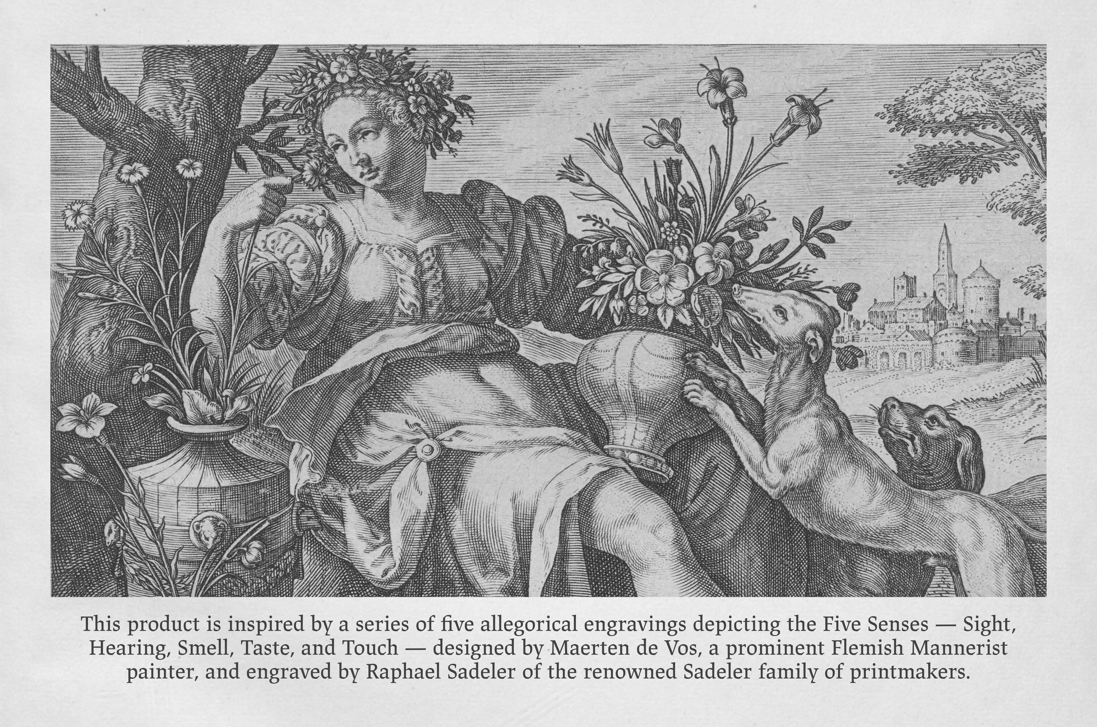 The Five Senses Procreate Kit