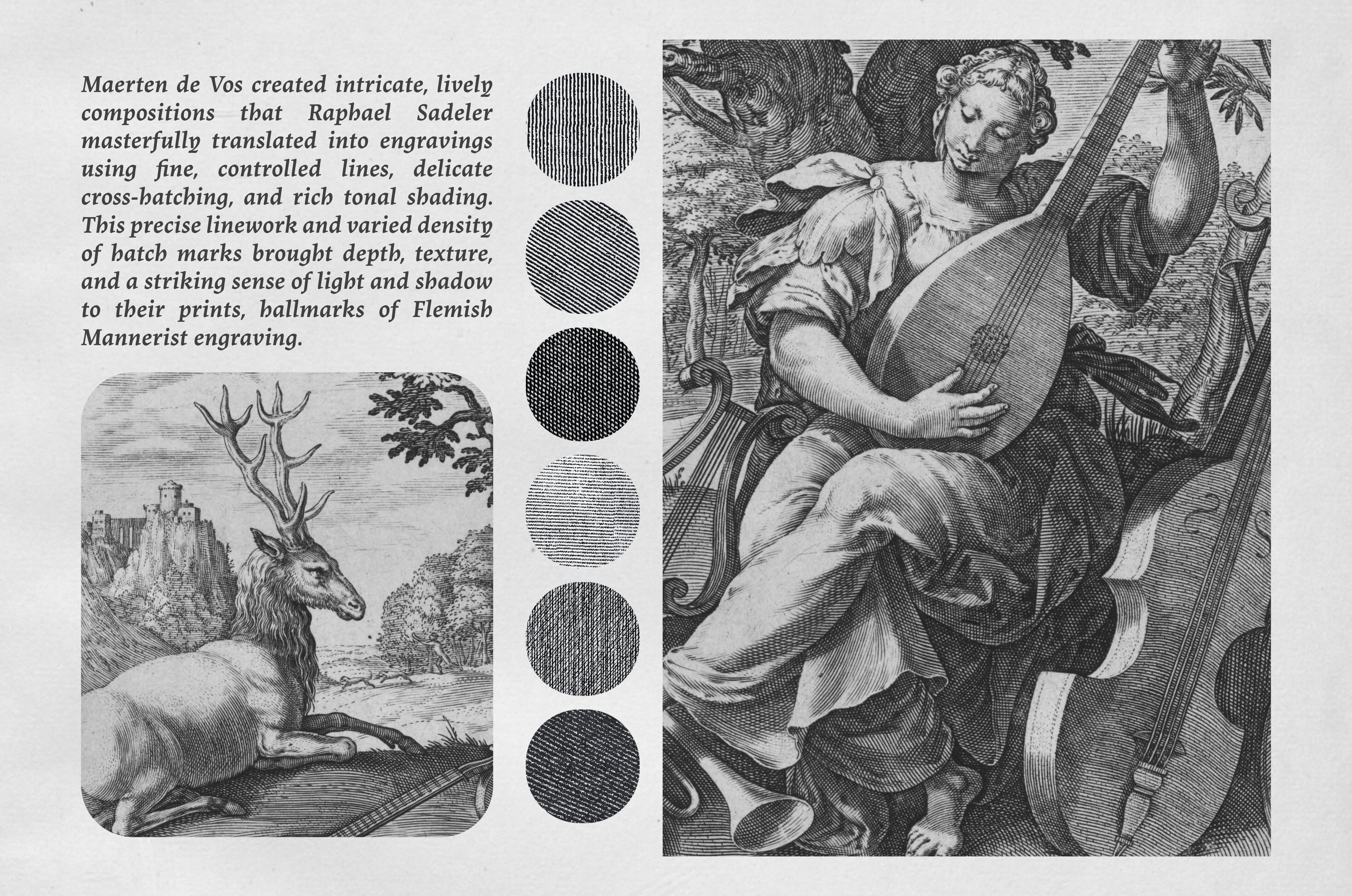 The Five Senses Procreate Kit