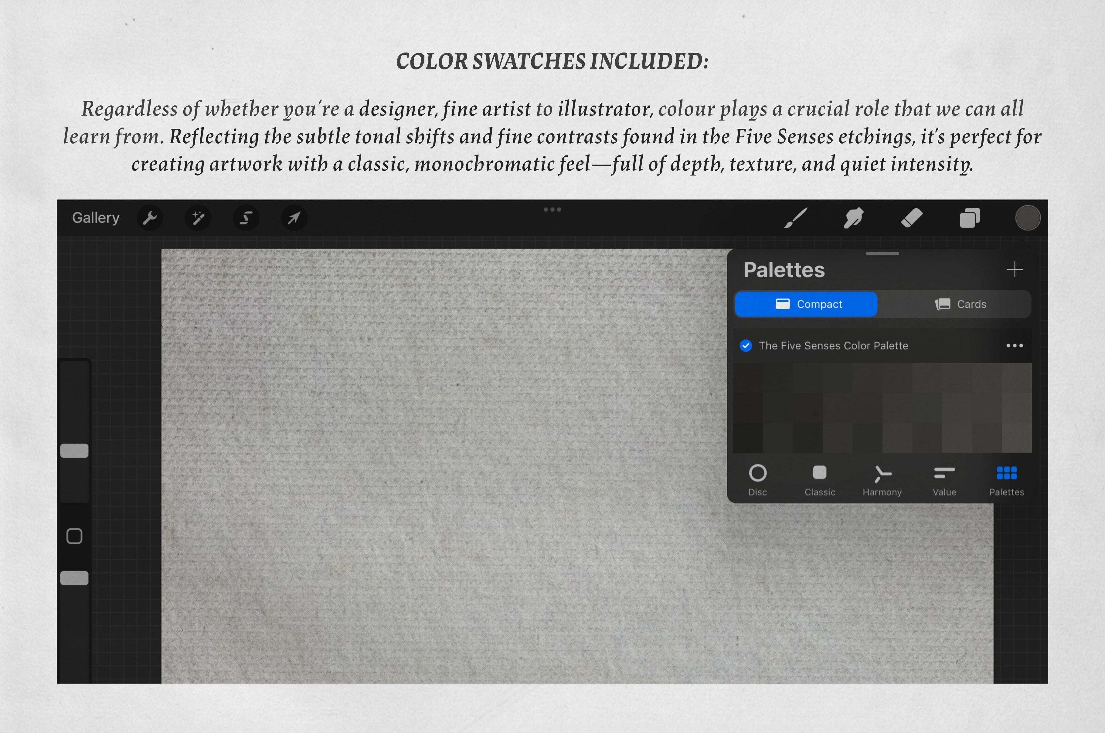 The Five Senses Procreate Kit
