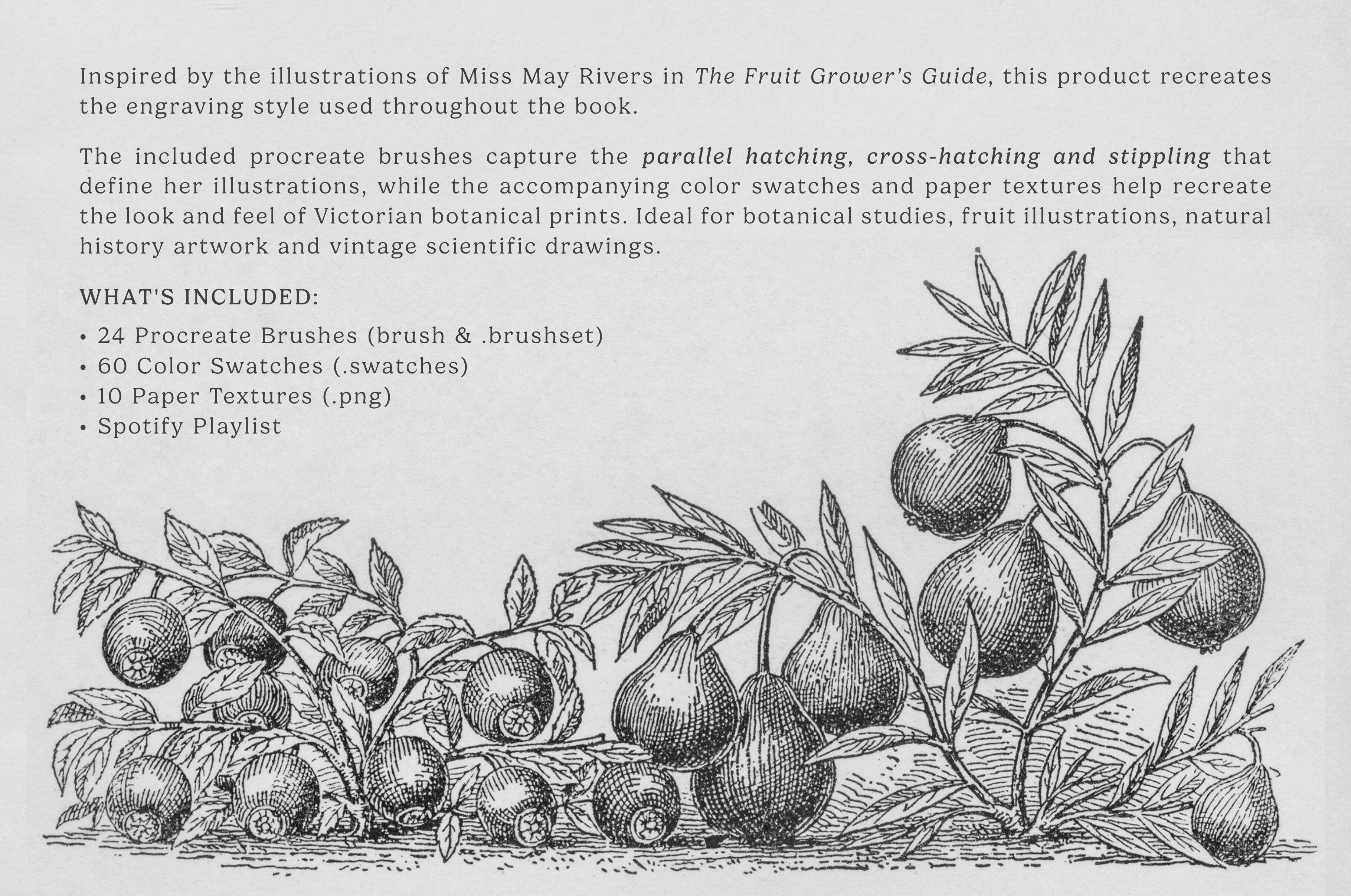 the-fruit-growers-guide-procreate-kit-digi-life-3.jpg