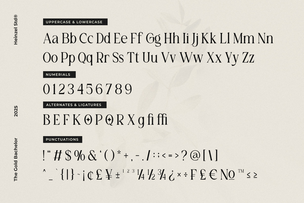 the-gold-bachelor-serif-font-unknown-creator-13.jpg