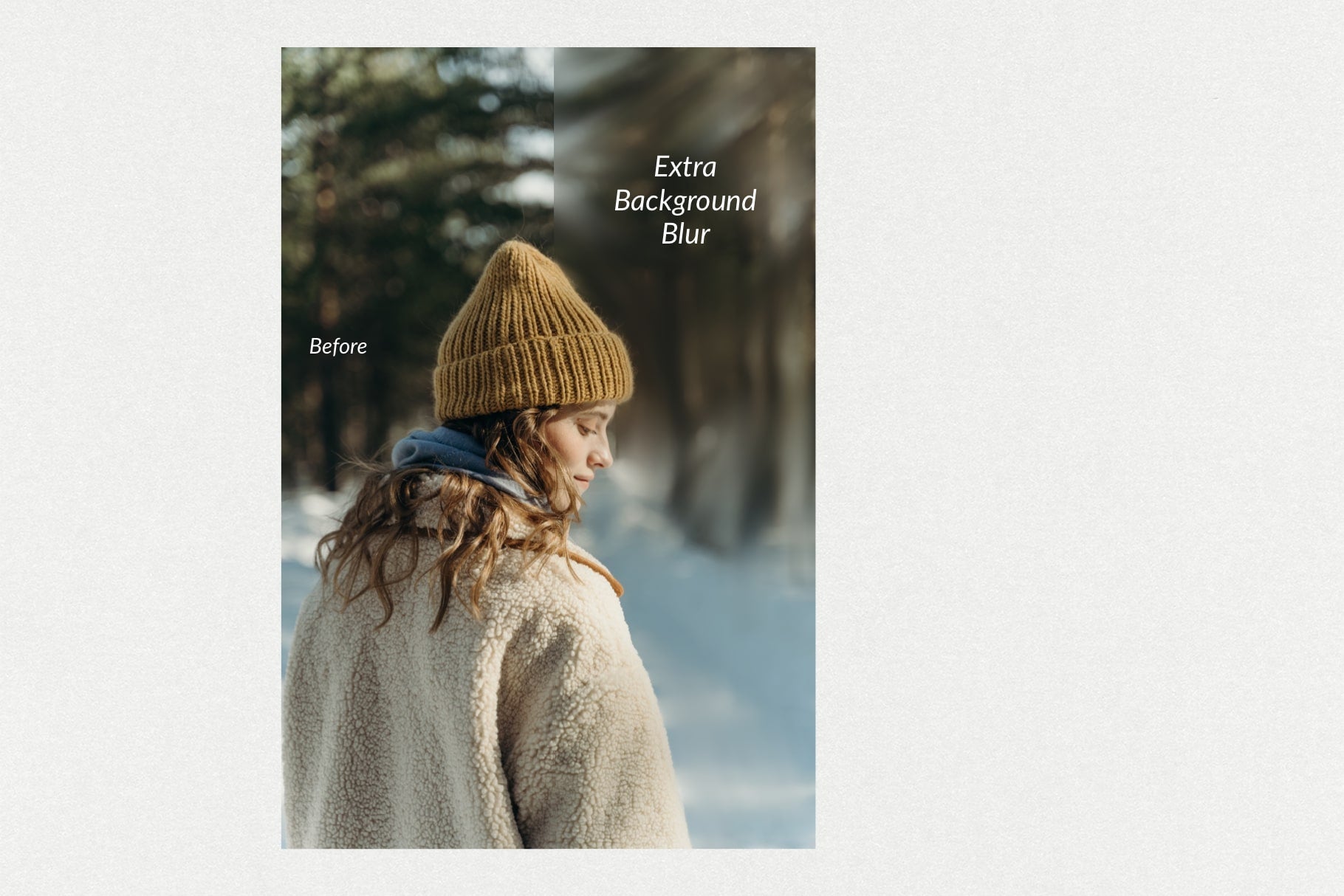 The Kodak Look Procreate Brushes