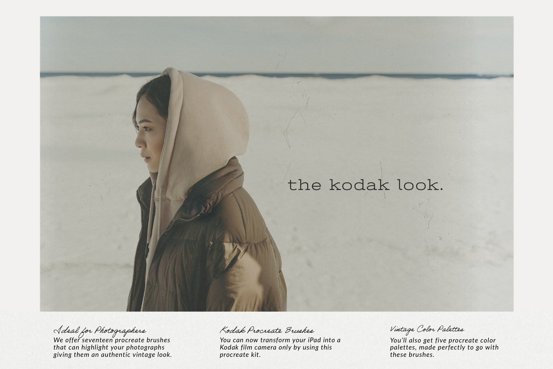 The Kodak Look Procreate Brushes