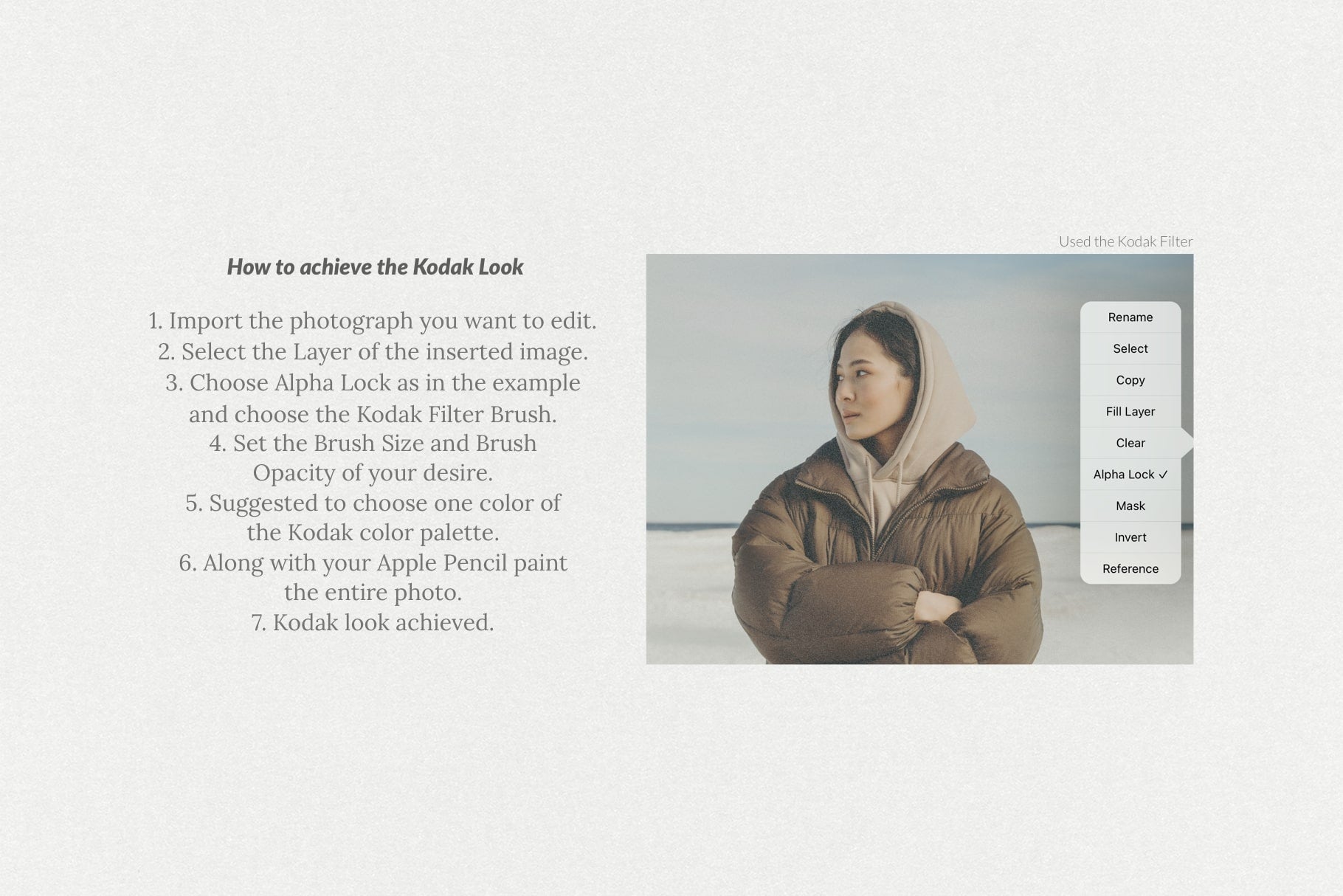 The Kodak Look Procreate Brushes