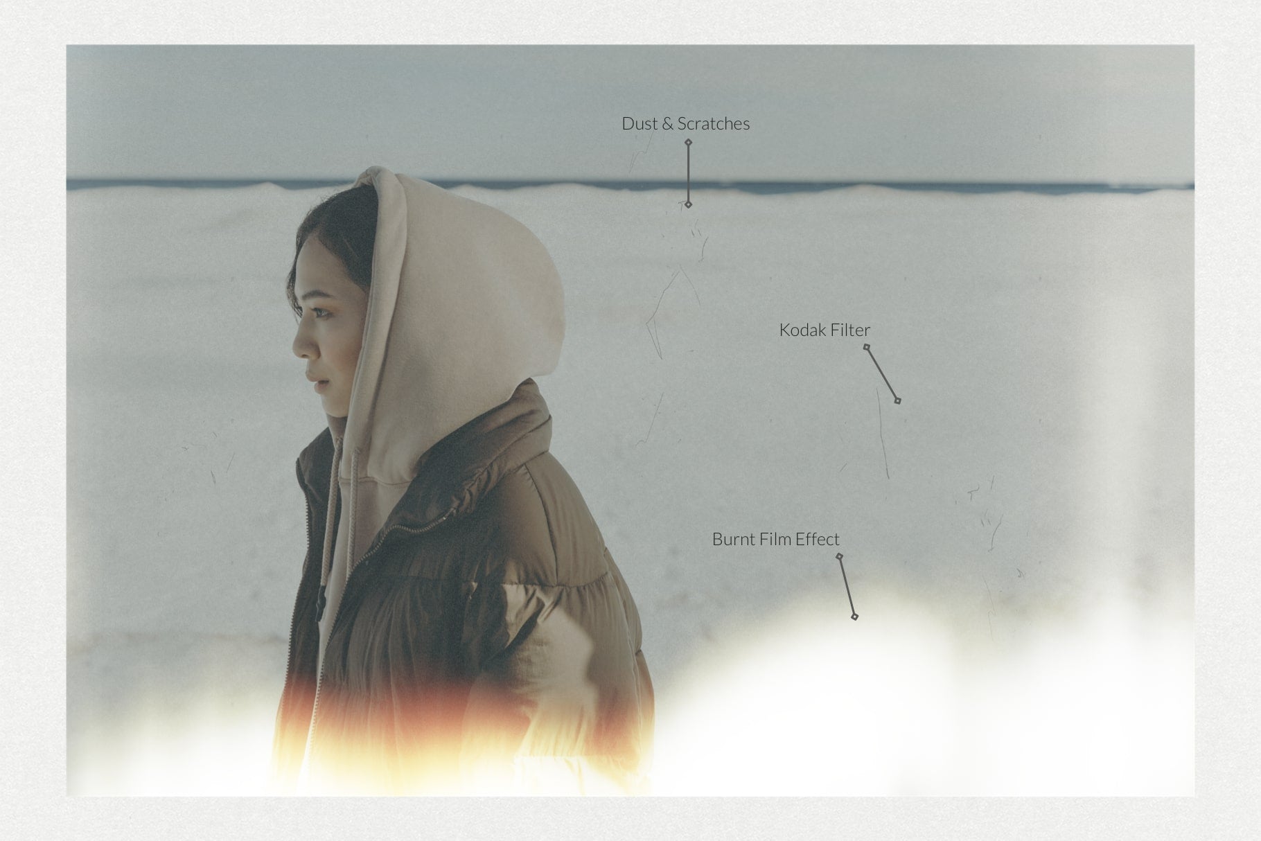 The Kodak Look Procreate Brushes