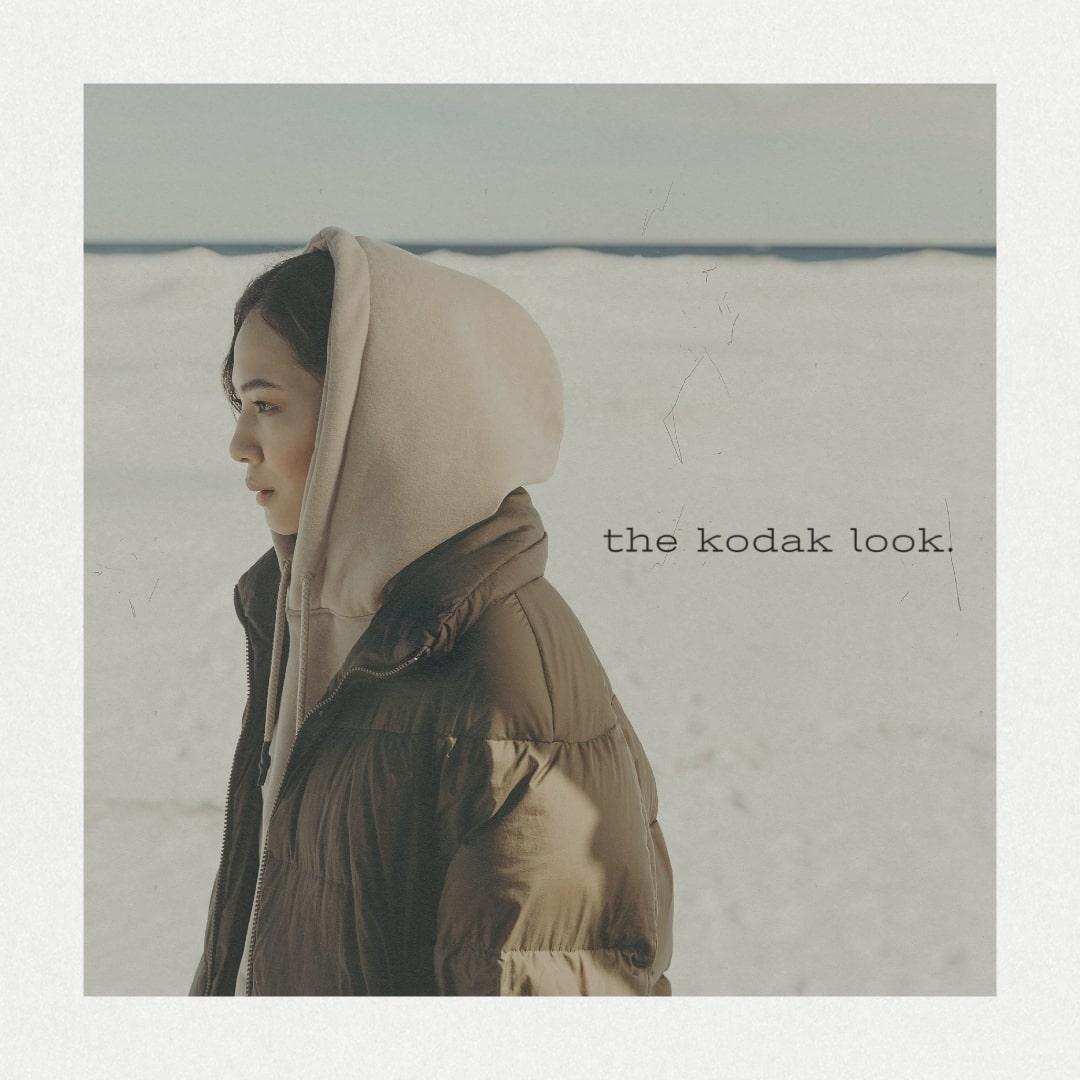 The Kodak Look Procreate Brushes