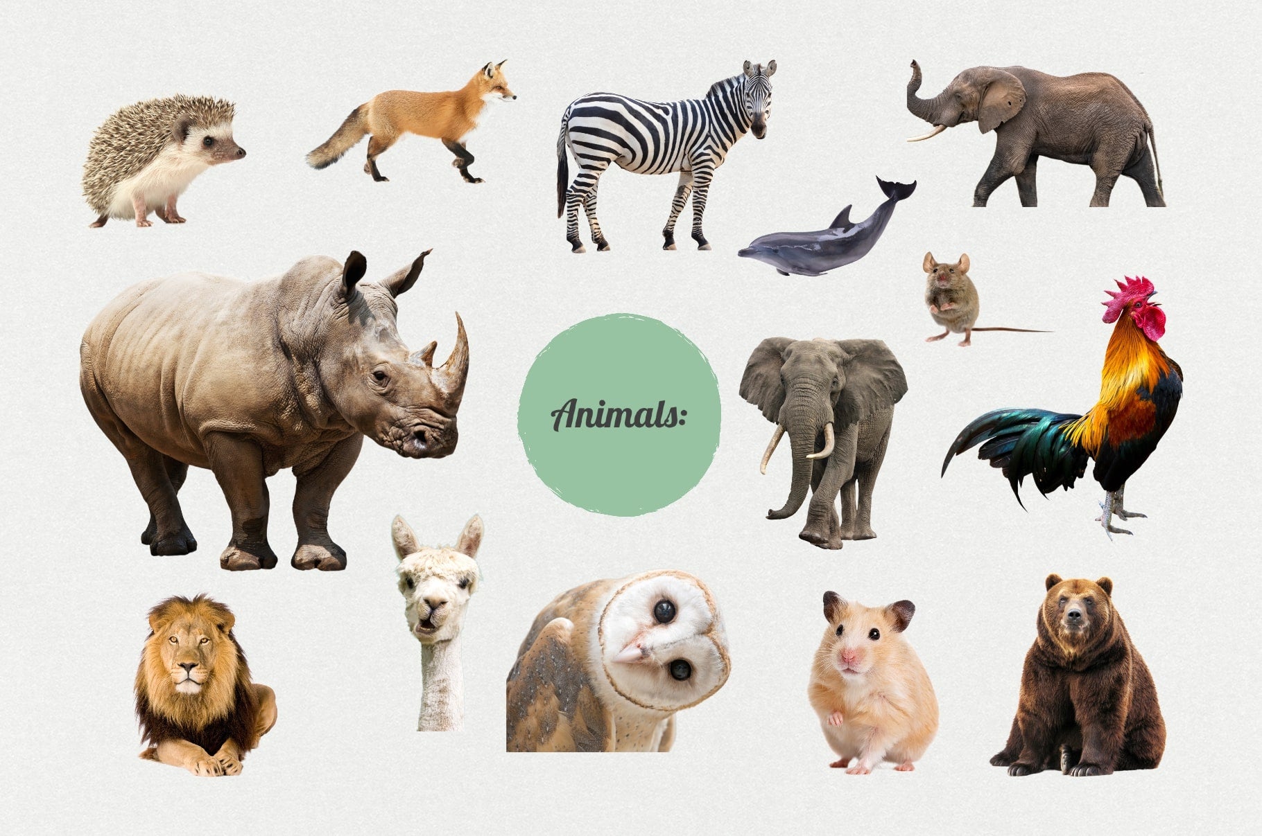 The Maximalist Collage Creator