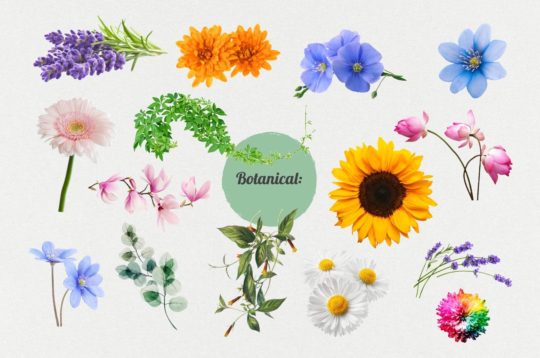 The Maximalist Collage Creator