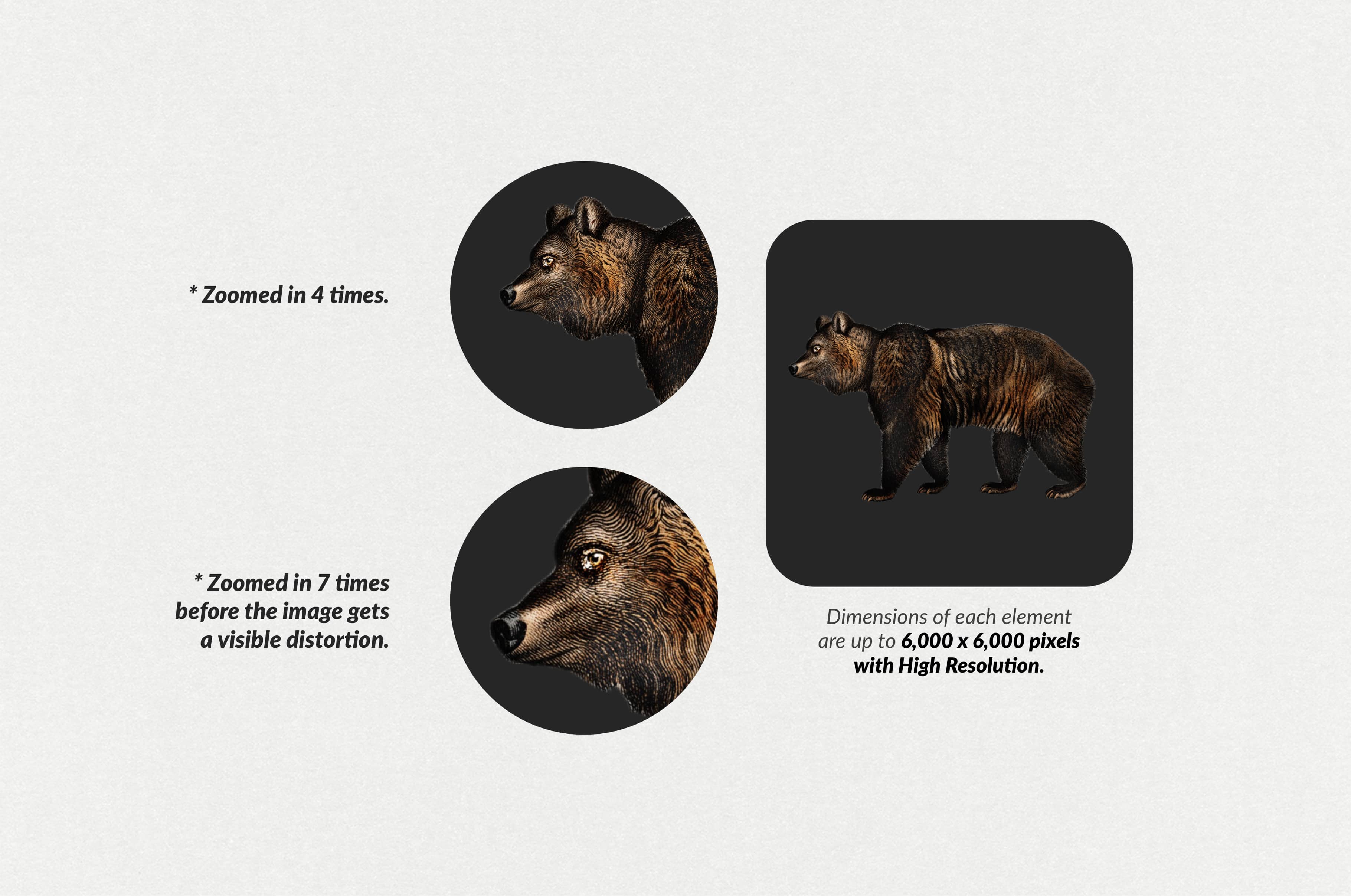 The Minimalist Collage Creator