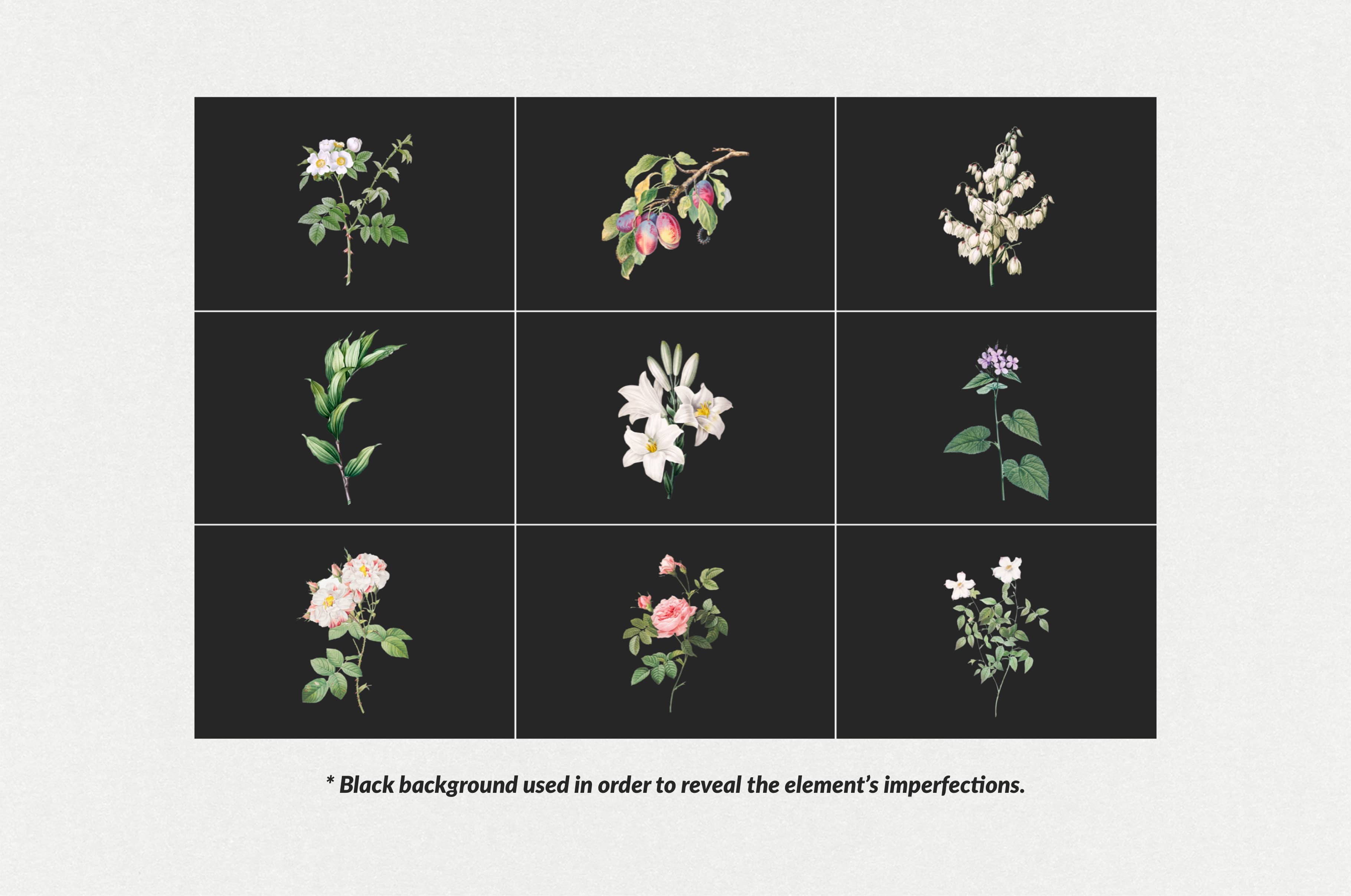 The Minimalist Collage Creator